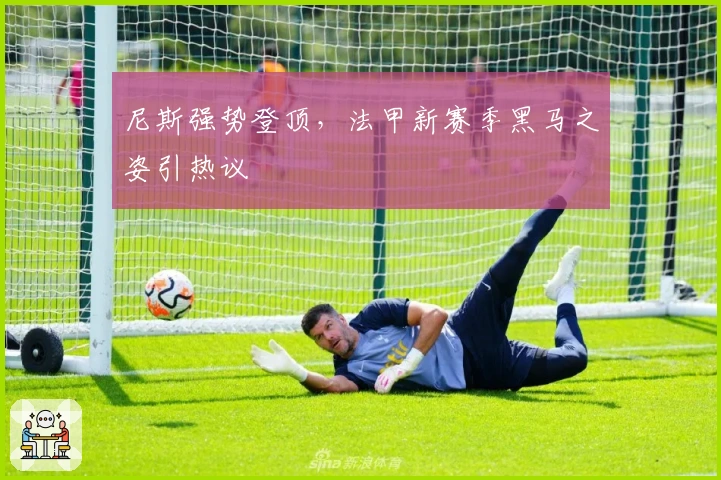 尼斯强势登顶，法甲新赛季黑马之姿引热议