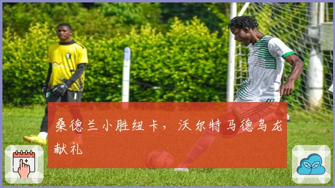 桑德兰小胜纽卡，沃尔特马德乌龙献礼