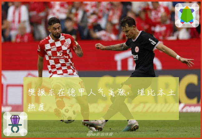 樊振东在德甲人气高涨，堪比本土热度