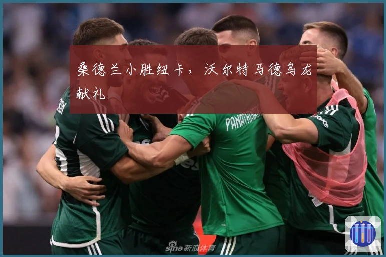 桑德兰小胜纽卡，沃尔特马德乌龙献礼