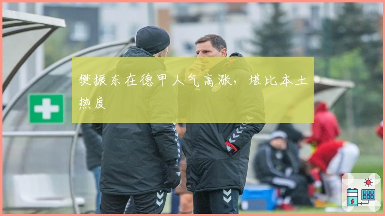 樊振东在德甲人气高涨，堪比本土热度